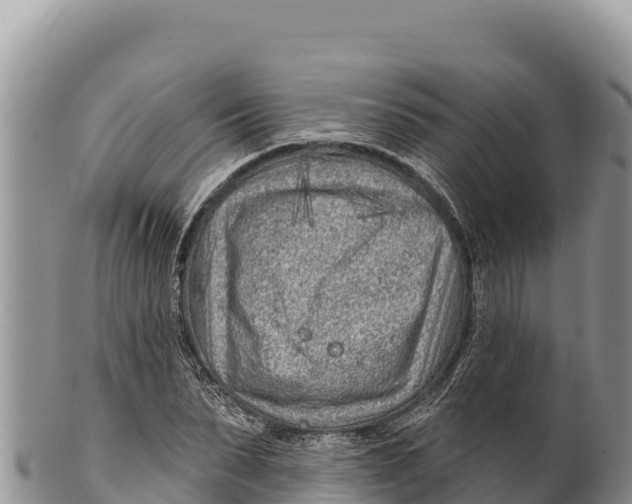 X0000100210879200806201442