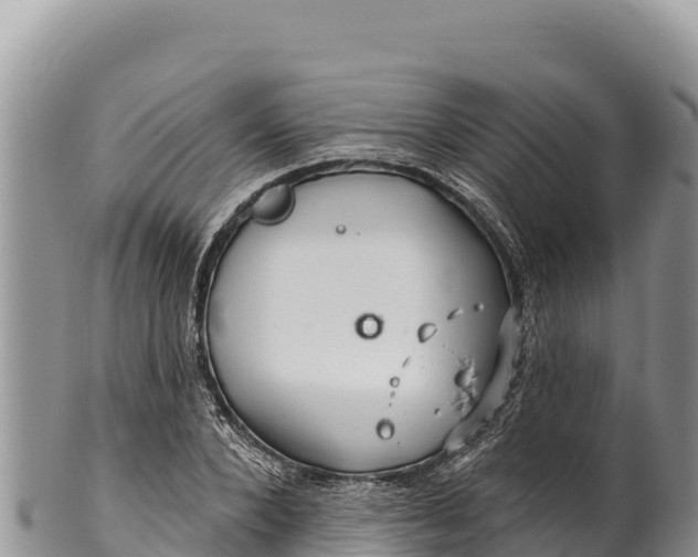 X0000100210880200806201442