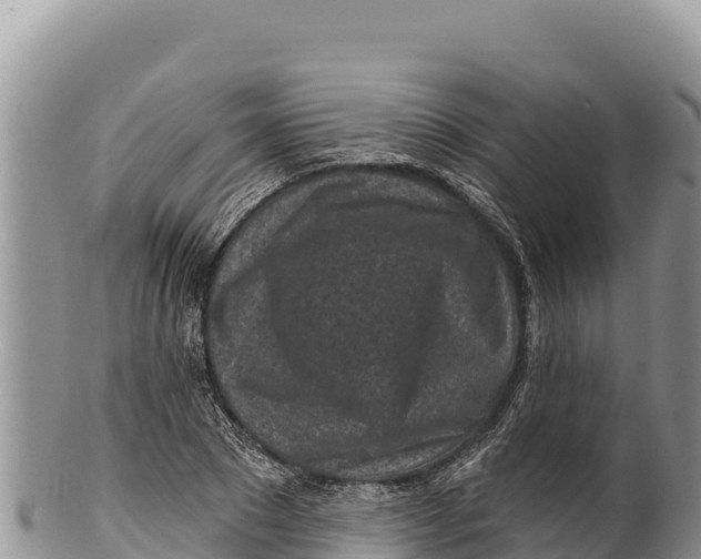 X0000100210881200806201442