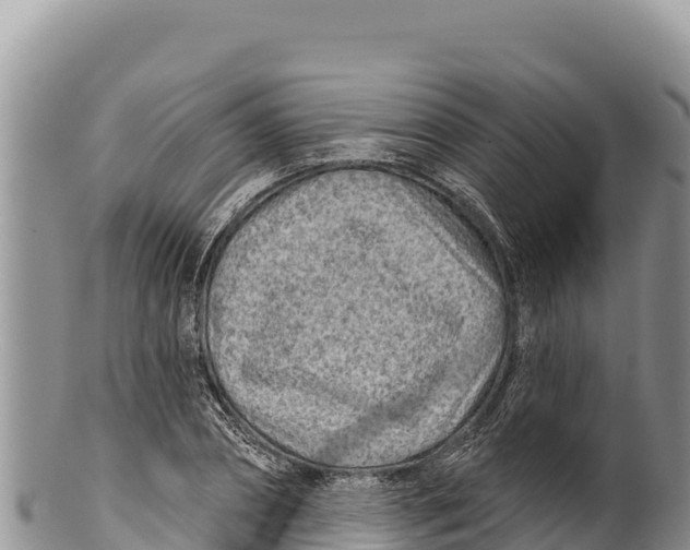 X0000100210882200806201442