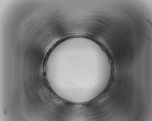 X0000100210883200806201442