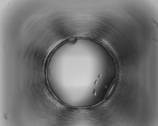 X0000100210884200806201442