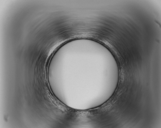 X0000100210886200806201442