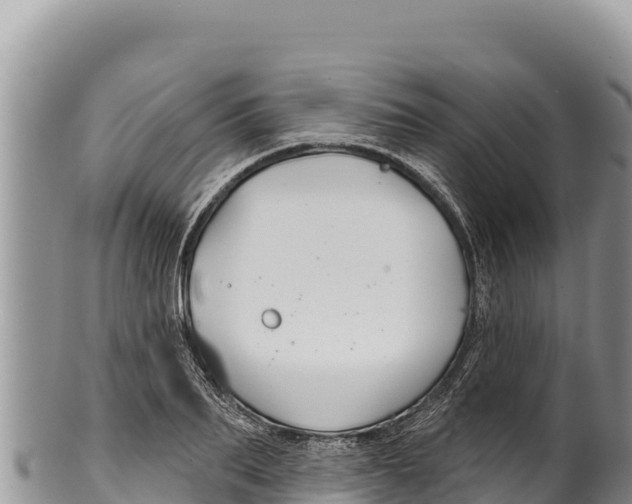 X0000100210887200806201442