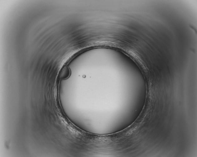 X0000100210888200806201442