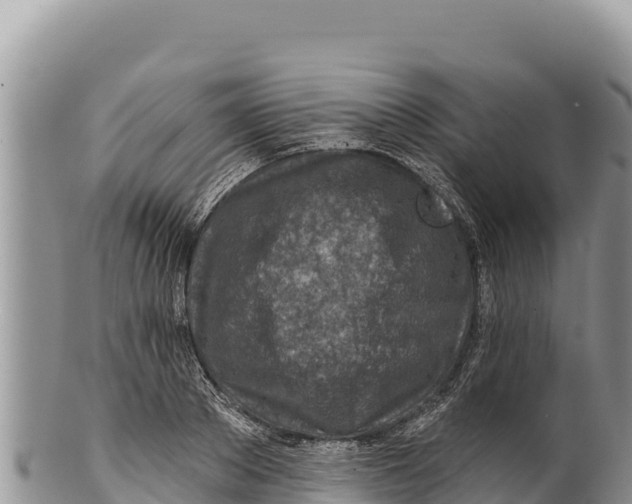 X0000100210889200806201442