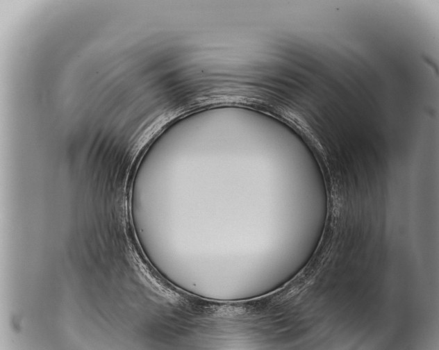 X0000100210890200806201442