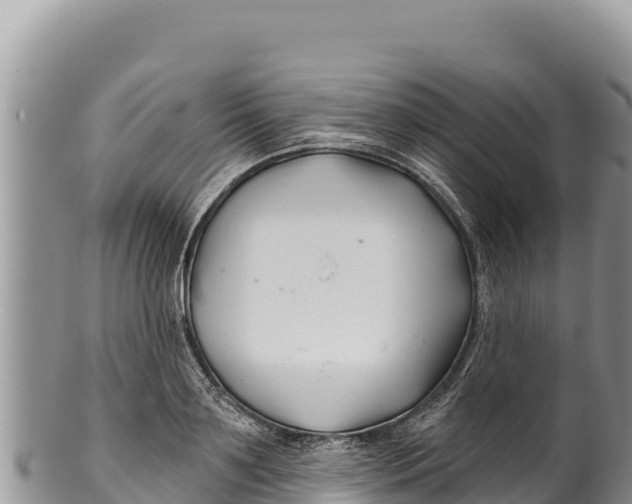 X0000100210891200806201442