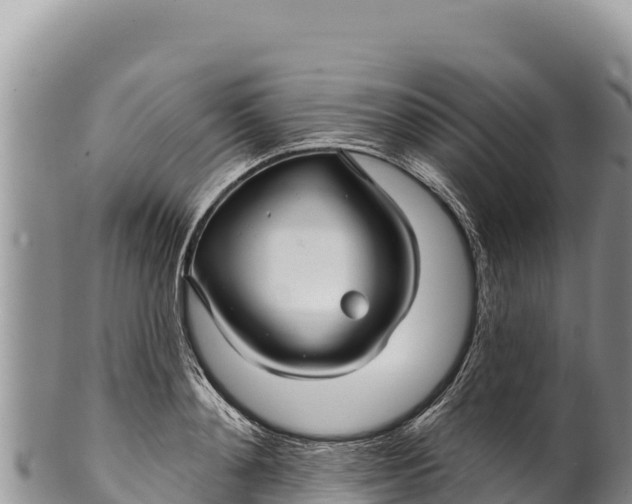 X0000100210892200806201442