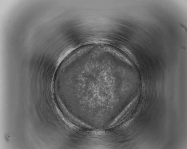 X0000100210893200806201442