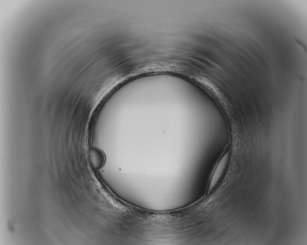 X0000100210894200806201442