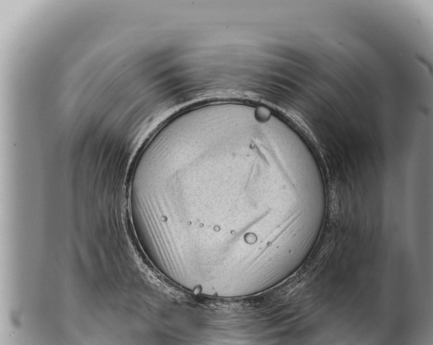 X0000100210895200806201442