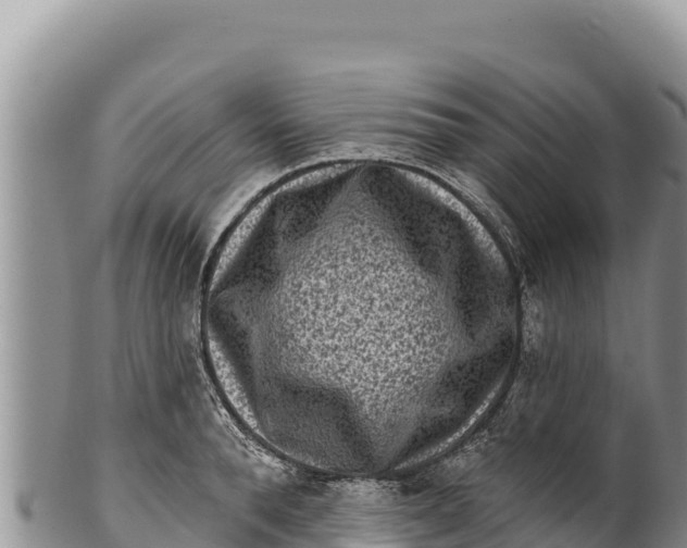 X0000100210896200806201442