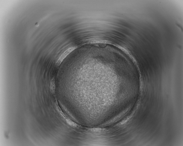 X0000100210897200806201442