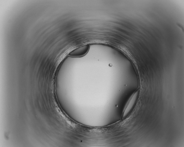 X0000100210898200806201442