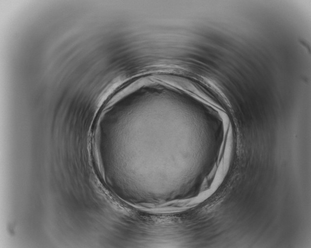 X0000100210899200806201442