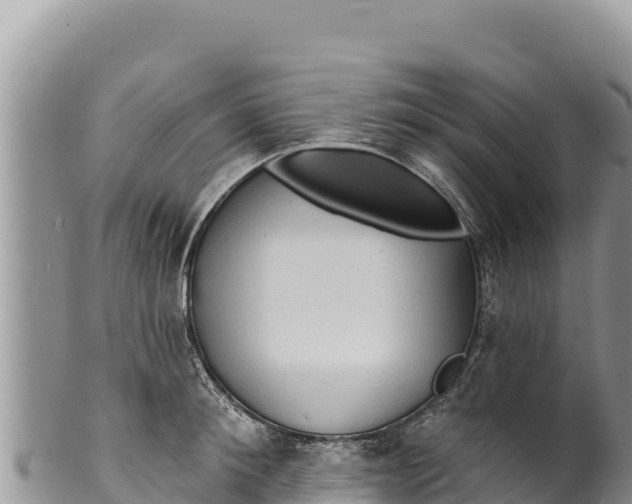 X0000100210900200806201442