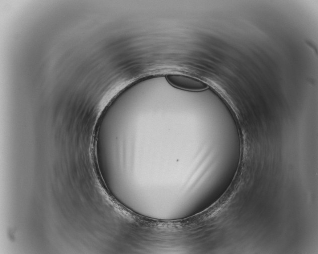 X0000100210901200806201442