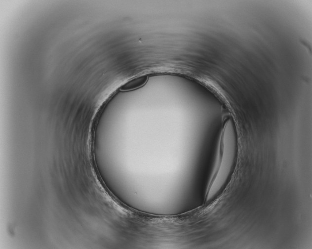 X0000100210902200806201442