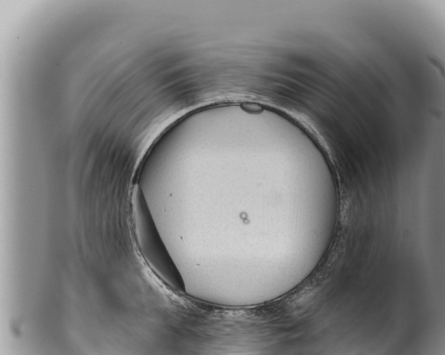 X0000100210903200806201442