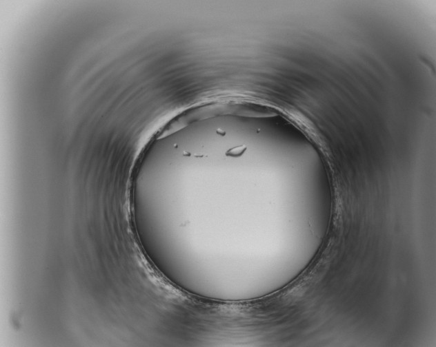 X0000100210904200806201442