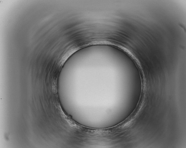 X0000100210905200806201442