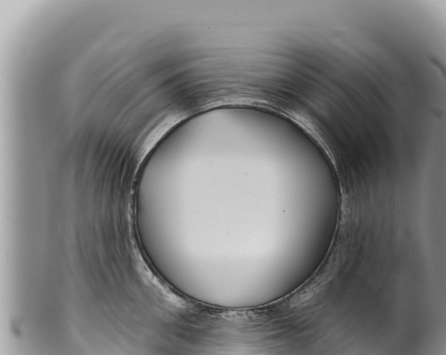 X0000100210906200806201442