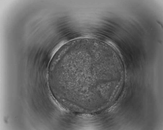 X0000100210907200806201442