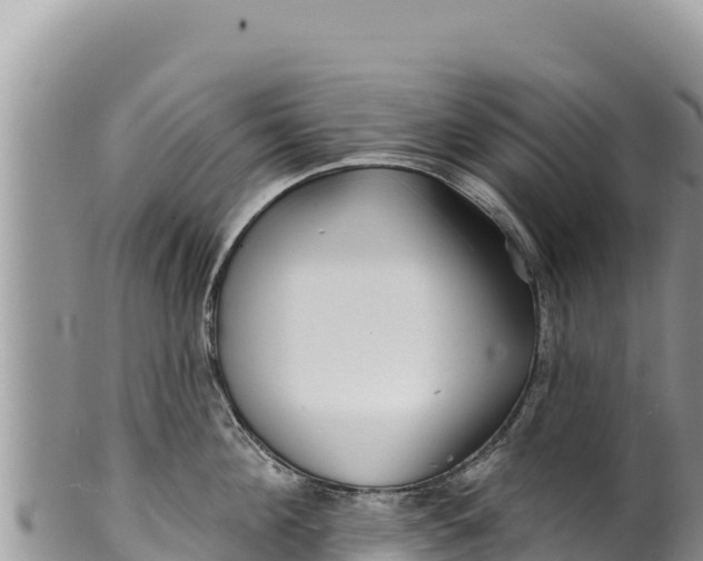 X0000100210908200806201442