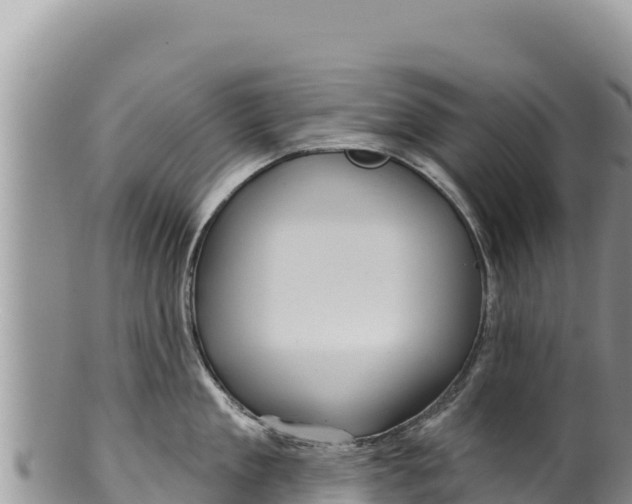 X0000100210909200806201442