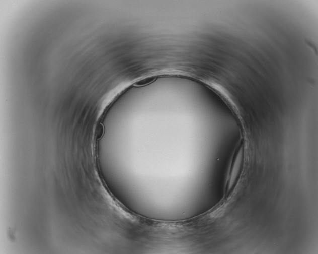 X0000100210910200806201442