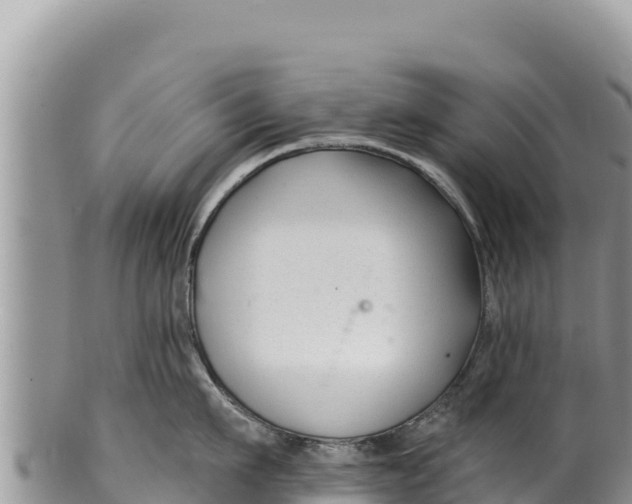 X0000100210911200806201442