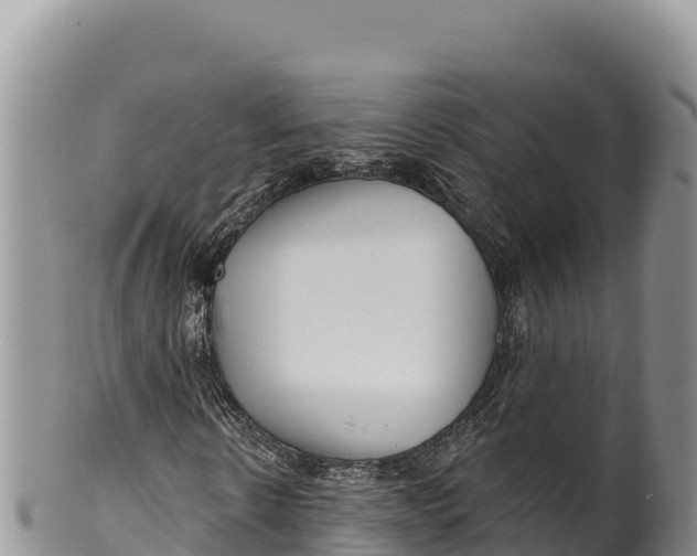 X0000100210914200806201441