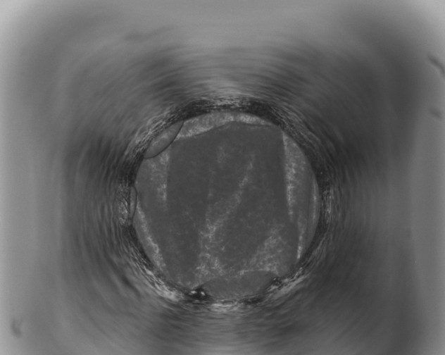 X0000100210916200806201441