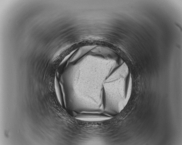 X0000100210919200806201441