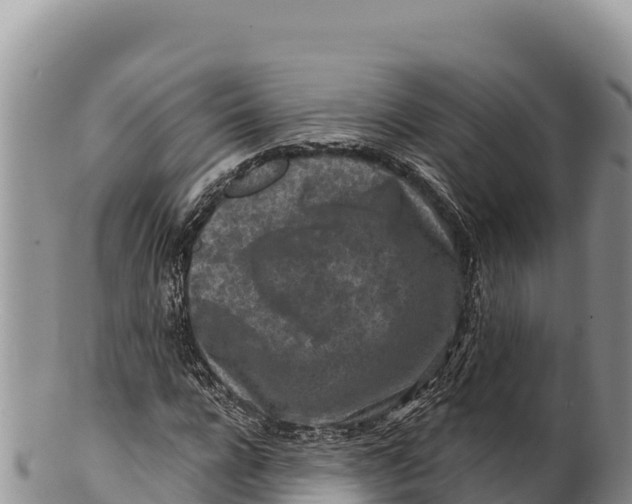 X0000100210920200806201441