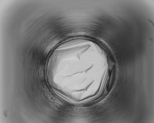 X0000100210921200806201441