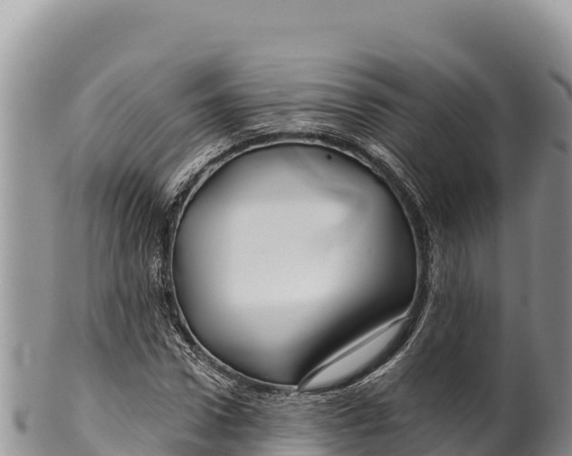 X0000100210922200806201441