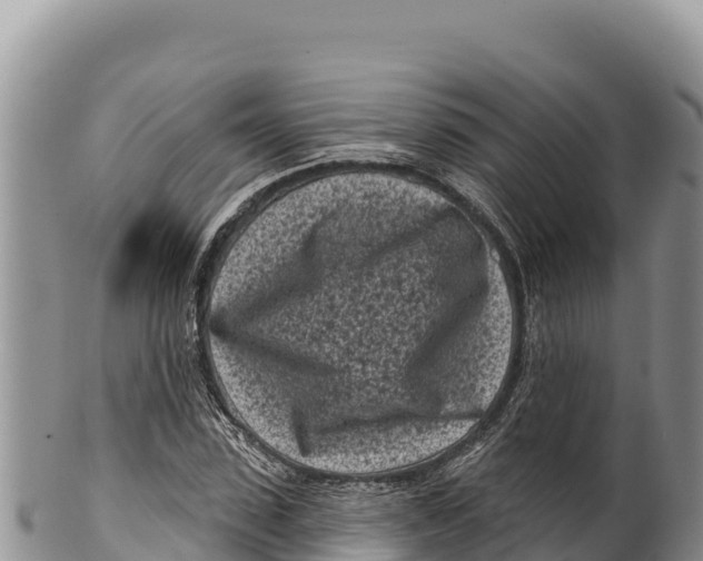 X0000100210923200806201441