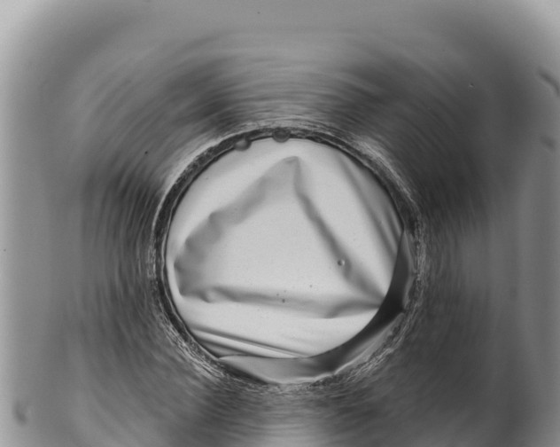 X0000100210924200806201441