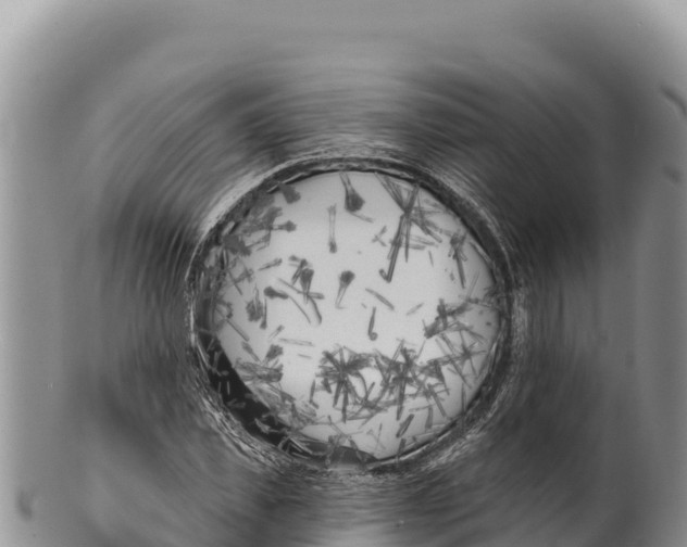 X0000100210925200806201441