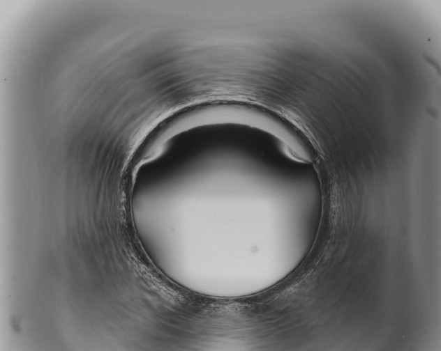 X0000100210926200806201441