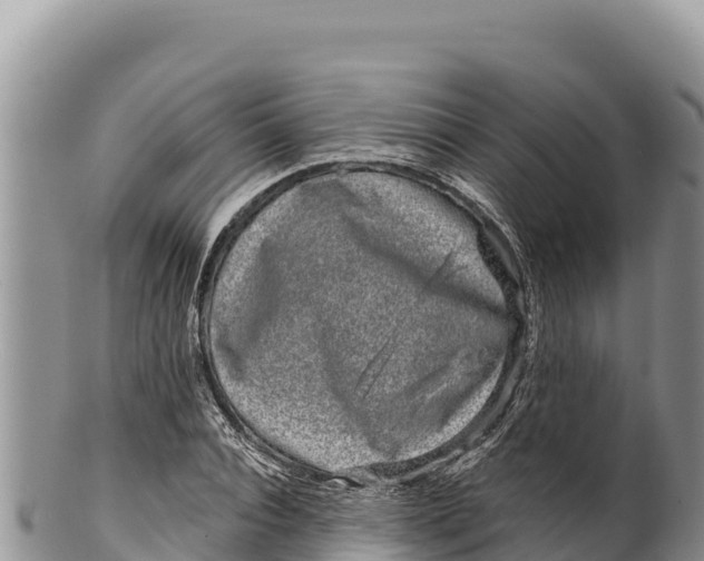 X0000100210928200806201441