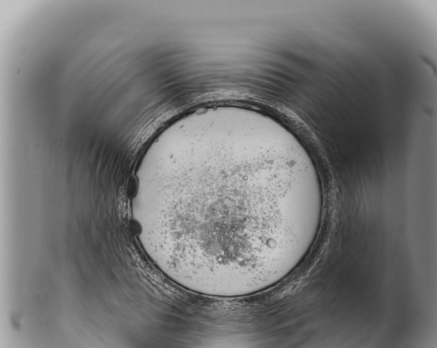 X0000100210929200806201442