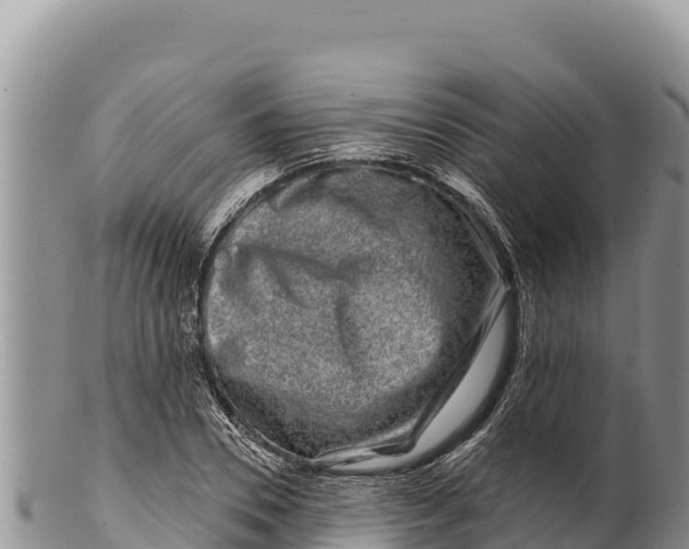 X0000100210930200806201442