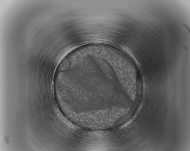 X0000100210932200806201442