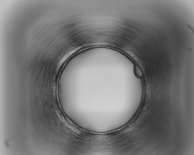 X0000100210933200806201442