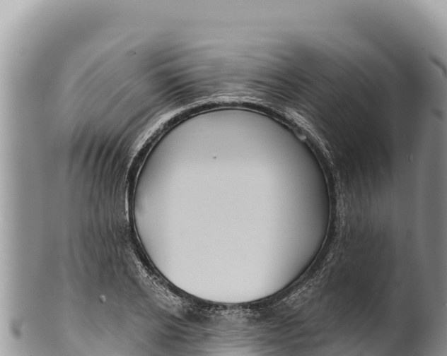 X0000100210934200806201442