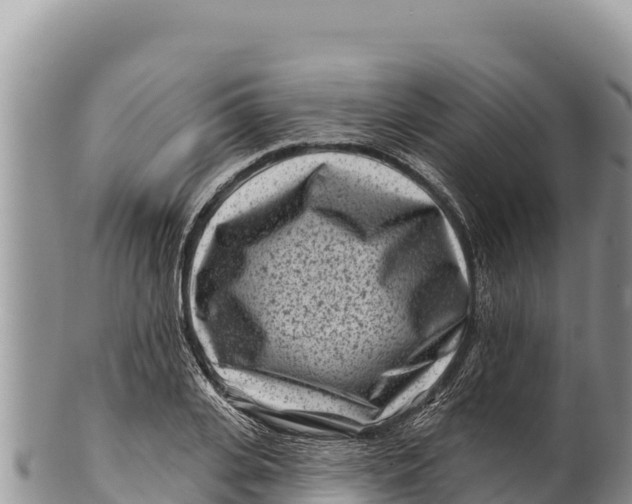 X0000100210935200806201442