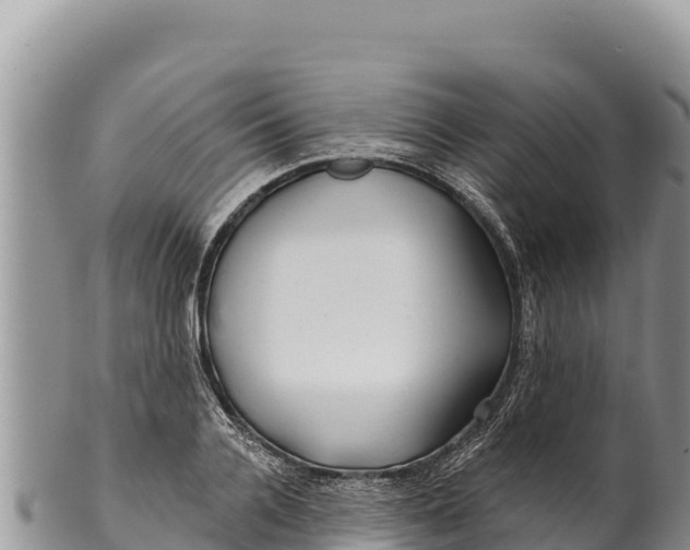 X0000100210936200806201442